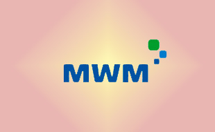 ✓ MWM 0337 9540 Запчасть MWM 